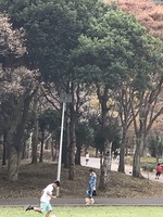 南郷上ノ山公園