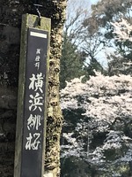 IMG_1969