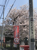 おりょうさんのPost