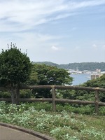 快晴となりました