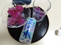 マローの氷