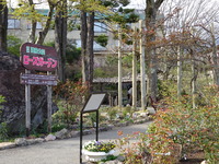 強羅公園