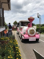 フラワートレイン
