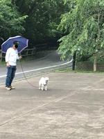 雨のお付き合い