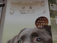 老犬ホーム