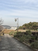 冬のハーブ園