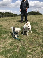 藤沢辻堂海浜公園