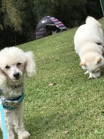 公園大好き!