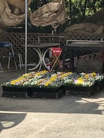 IMG_1258
