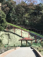 滑り台オープン(ハーブ園)