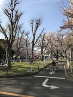 運動公園