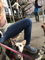 ソラちゃん