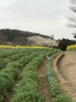 まだもう少し!