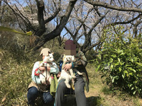 三ッ池公園