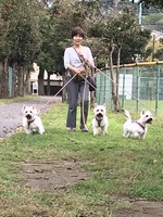 友達ワンコ
