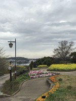 花の国の様子