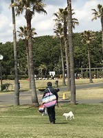 藤沢辻堂海浜公園