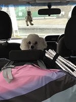 どこいくの〜?