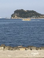 猿島