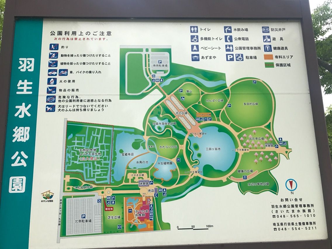 犬連れ 羽生水郷公園 花菖蒲 シェビーズのブログ 犬連れ 羽生水郷公園 花菖蒲 シェビーズのブログ