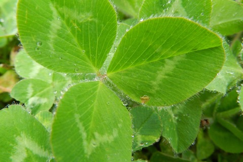 DSCN7703
