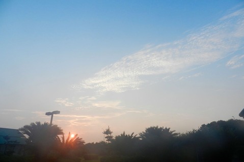 DSCN9537