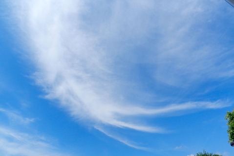 DSCN9837