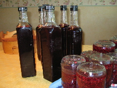 Saft & Sylt