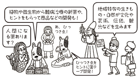 微生物から開発