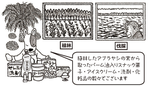 パーム油で出来ている商品