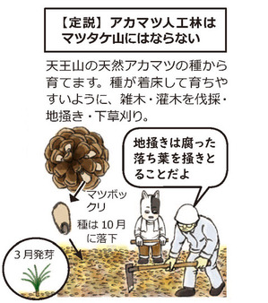 マツヤマ再生プロジェクト1