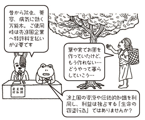 ニームの木