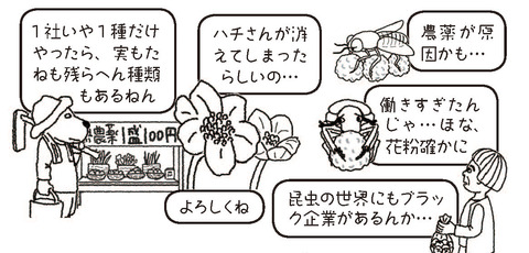 蜂さんが消えた