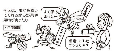 虫の宅配業者3社