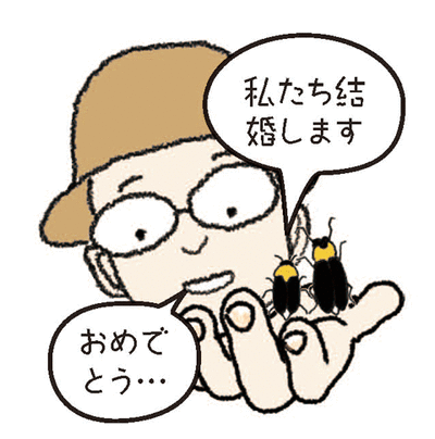 ホタルイラスト3