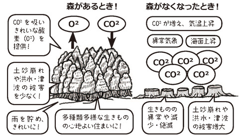 森があるときないとき