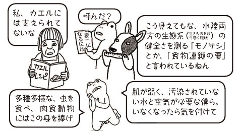 カエルには支えられてない