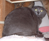 DSCF0479