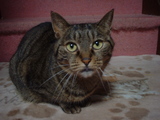 DSCF0477