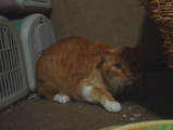 DSCF0486