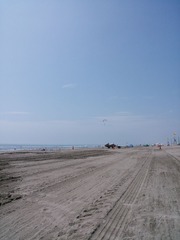 NCM_0078