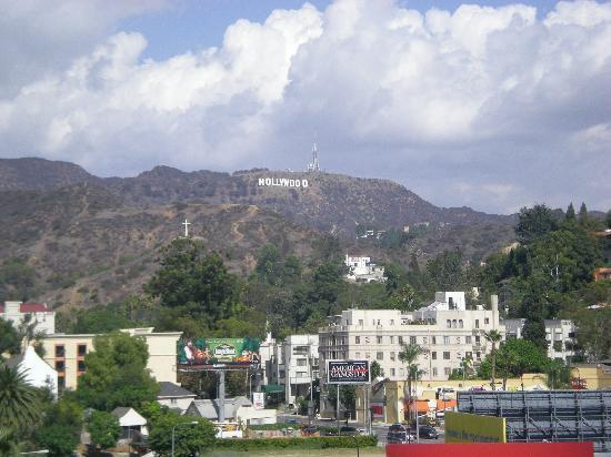 hollywood