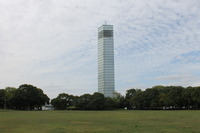 IMG_8230