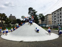 IMG_6534