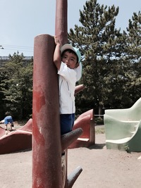写真 2017-07-12 16 42 12