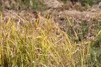 IMG_9995