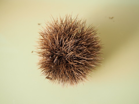 PB150634