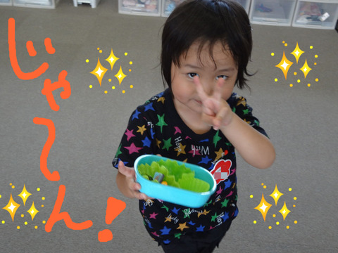 BlogPaint