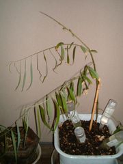 20060911_2