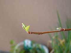 20070304_2